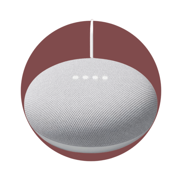 Google Nest Mini