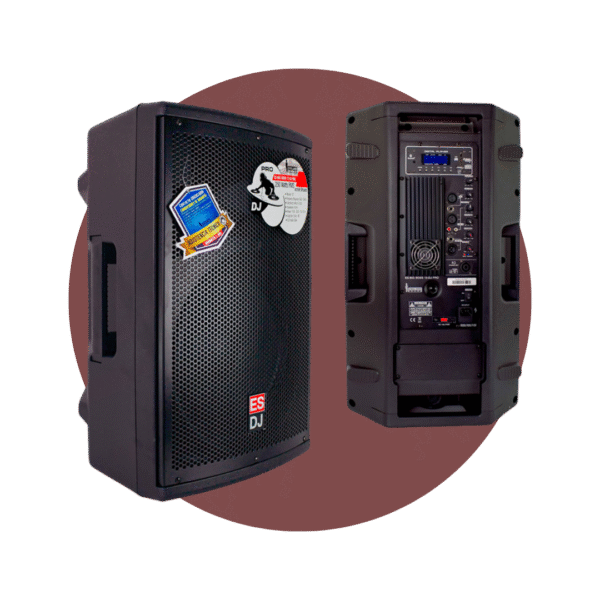 CAJA AMPLIFICADA ES-BIG-BOSS-12 CLASE AB