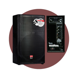 CAJA AMPLIFICADA CLASE H 15″ 450 Watts RMS CAJA DE MADERA