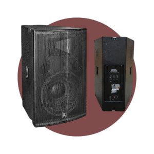CAJA AMPLIFICADA BETA 3 ES215A 500W