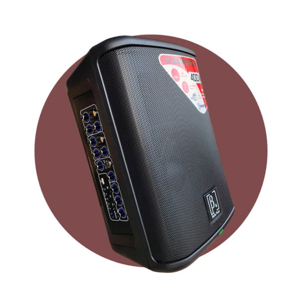 CAJA AMPLIFICADA RECARGABLE BETA 4