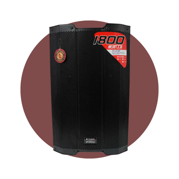 CAJA PROFESIONAL ITL-S15P 600W RMS