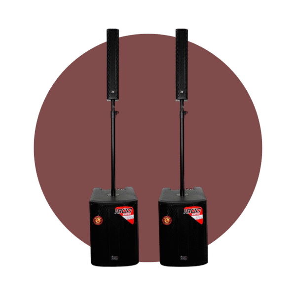 SISTEMA ARRAY 12" 2 SUB-BAJOS, 2 COLUMNAS
