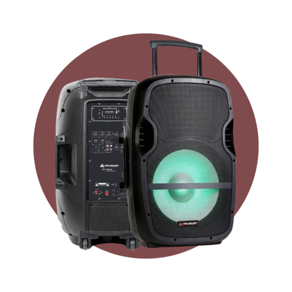 CAJA AMPLIFICADA 15″ ITALY AUDIO