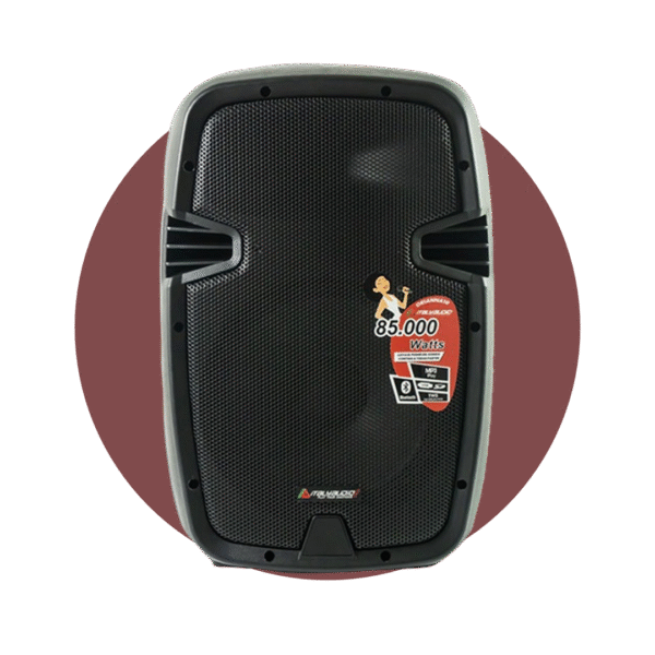 CAJA AMPLIFICADA 10" ITALY AUDIO ORIANNA