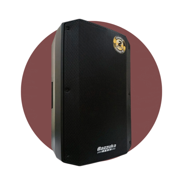 Parlante Profesional Bazzuka P212 | 300 RMS