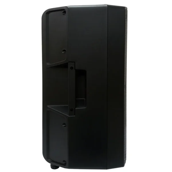 Parlante Profesional Bazzuka P212 | 300 RMS - Image 3