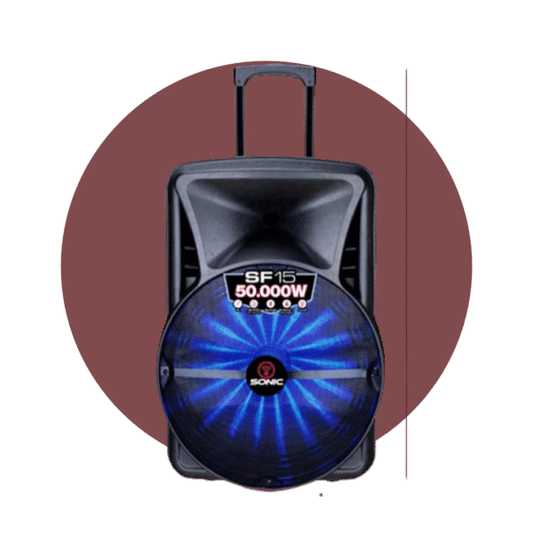 PARLANTE AMPLIFICADO CON LUCES 15″