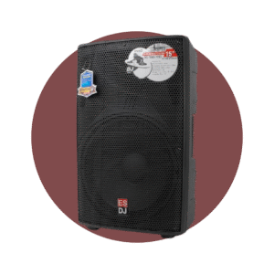 CAJA AMPLIFICADA POWERMAX 15DJ-PRO PLASTICA