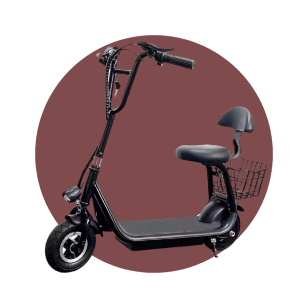 SCOOTER ELECTRICO 250W EB3,36V-3.6AH