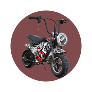 SCOOTER ELECTRICO 300W E10,36V-3.6AH