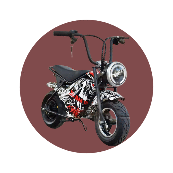 SCOOTER ELECTRICO 300W E10,36V-3.6AH
