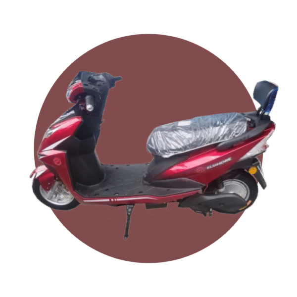 MOTONETA ELSINORE LEGGERO 700W 48V 25AH Cam ROJA