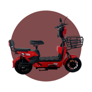 BICICLETA ELECTRICA 48V/12AH 350W