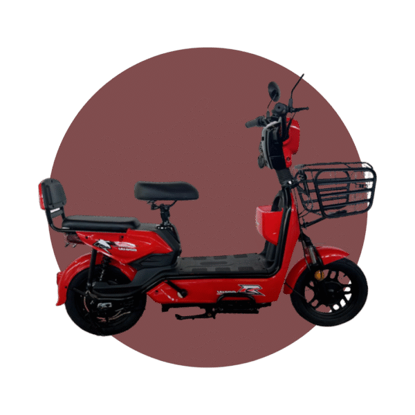 BICICLETA ELECTRICA 48V/12AH 350W