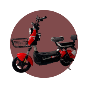 MOTO ELÉCTRICA KAWAMURA