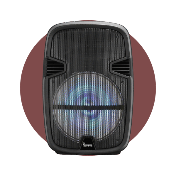 CAJA AMPLIFICADA ENGLAND SOUND CON BATERIA 15 PULGADAS