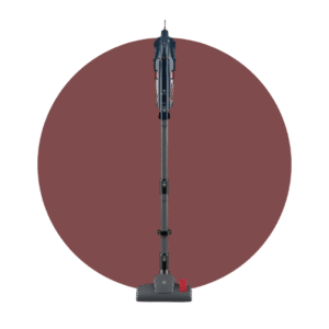 ASPIRADORA ELECTROLUX PTE10