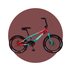 BICICLETA ARO 20
