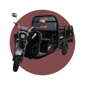 Triciclo Eléctrico CARGO 1000 W