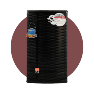 CAJA AMPLIFICADA ENGLAND SOUND DE 3 VIAS HIT 3-15W DJ PRO