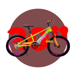 BICICLETA ARO 20 FRENO DE DISCO CUADRANTE CON LED