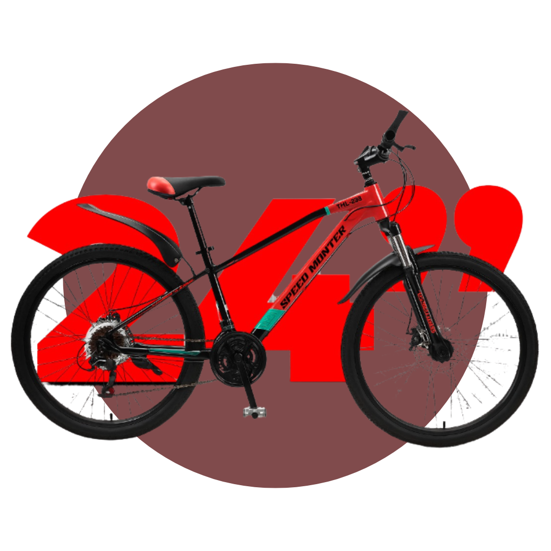 BICICLETA ARO 24 SPEED MONTER