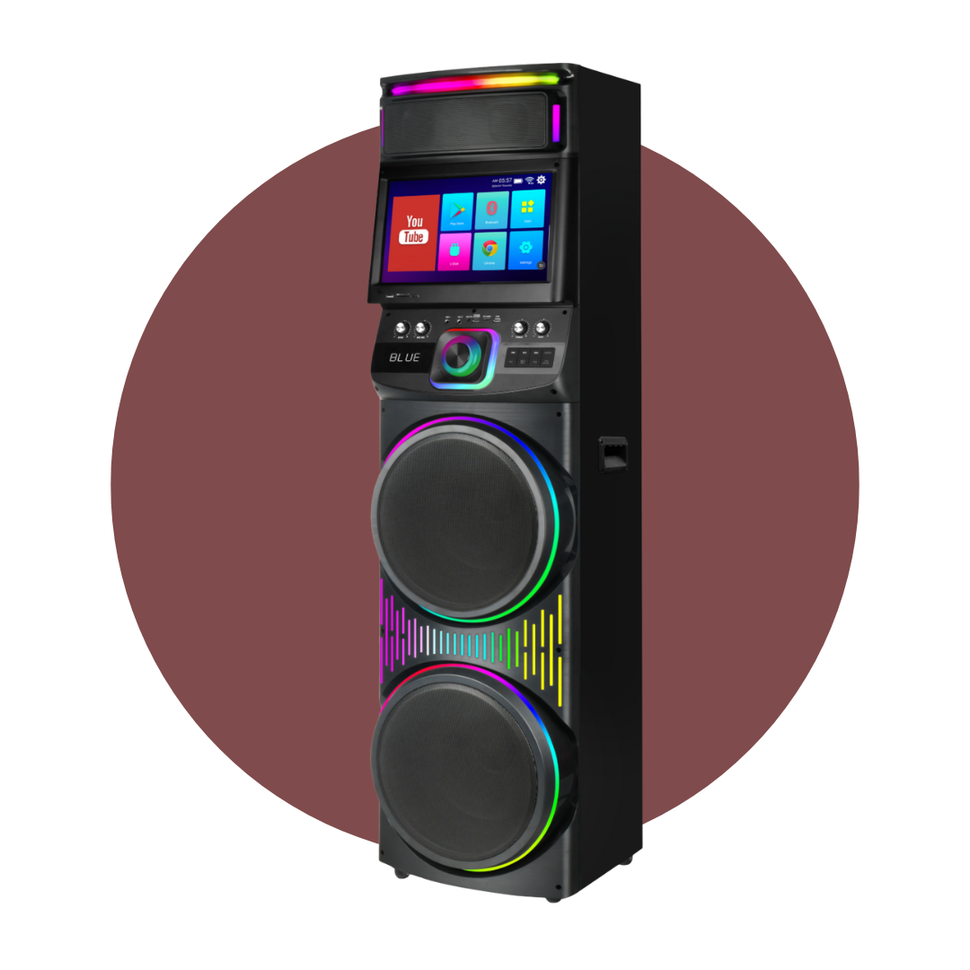 PARLANTE WIFI CON PANTALLA ANDROID TACTIL 2*12 PULGADAS