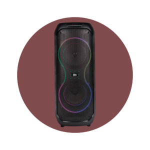 PARLANTE YOSHITA BT 2x8" YS-018