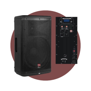 CAJA AMPLIFICADA POWERMAX 715 DJ