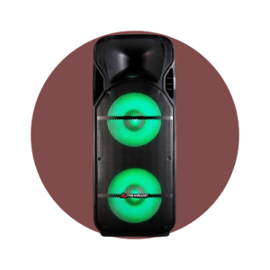 CAJA AMPLIFICADA ELITE TWO PLAY 300W