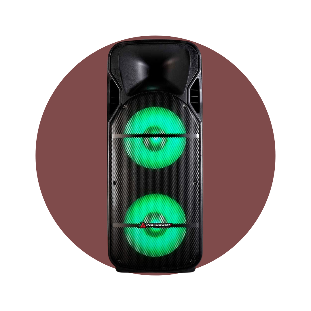 CAJA AMPLIFICADA ELITE TWO PLAY 300W