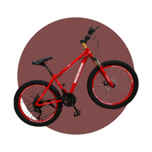 BICICLETA SUPER ROYAL ARO 24