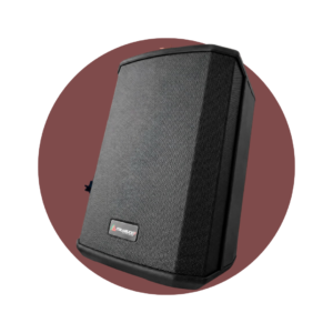 CAJA AMPLIFICADA RECARGABLE ITALY AUDIO PRO11 MAX